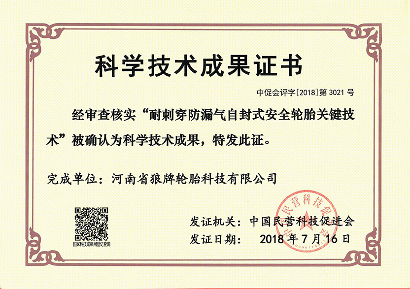 科学技术成果证书（小图）.jpg